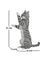 Jekca Animals - Tabby Cat Grey Standing 39cm
