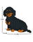 Jekca Animals - Dachshund Sitting Black 17cm