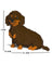 Jekca Animals - Dachshund Sitting Brown 17cm