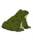 Jekca Animals - Frog 9cm
