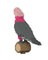 Jekca Animals - Galah 38cm