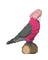 Jekca Animals - Galah 38cm