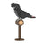 Jekca Animals - Red-tailed Black Cockatoo 35cm