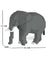 Jekca Animals - Elephant 17cm