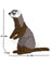 Jekca Animals - Ferret 25cm