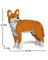 Jekca Animals - Dingo 24cm
