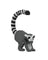 Jekca Animals - Lemur 42cm
