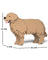 Jekca Animals - Golden Retriever 20cm