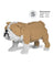 Jekca Animals - English Bulldog Fawn 18cm