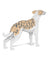 Jekca Animals - Whippet Dog 25cm