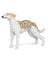 Jekca Animals - Whippet Dog 25cm