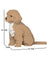Jekca Animals - Cockapoo 19cm