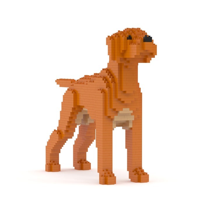 Jekca Animals - Dog - Hungarian Vizsla 25cm