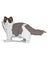 Jekca Animals - Ragdoll Cat 24cm