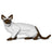 Jekca Animals - Siamese Cat 18cm