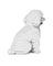 Jekca Animals - Toy Poodle White 20cm