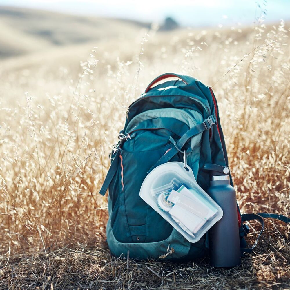 Stasher Go Bag - Clear