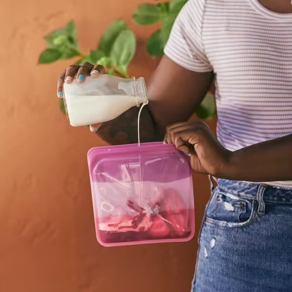 Stasher Sandwich Bag - Coral Triangle