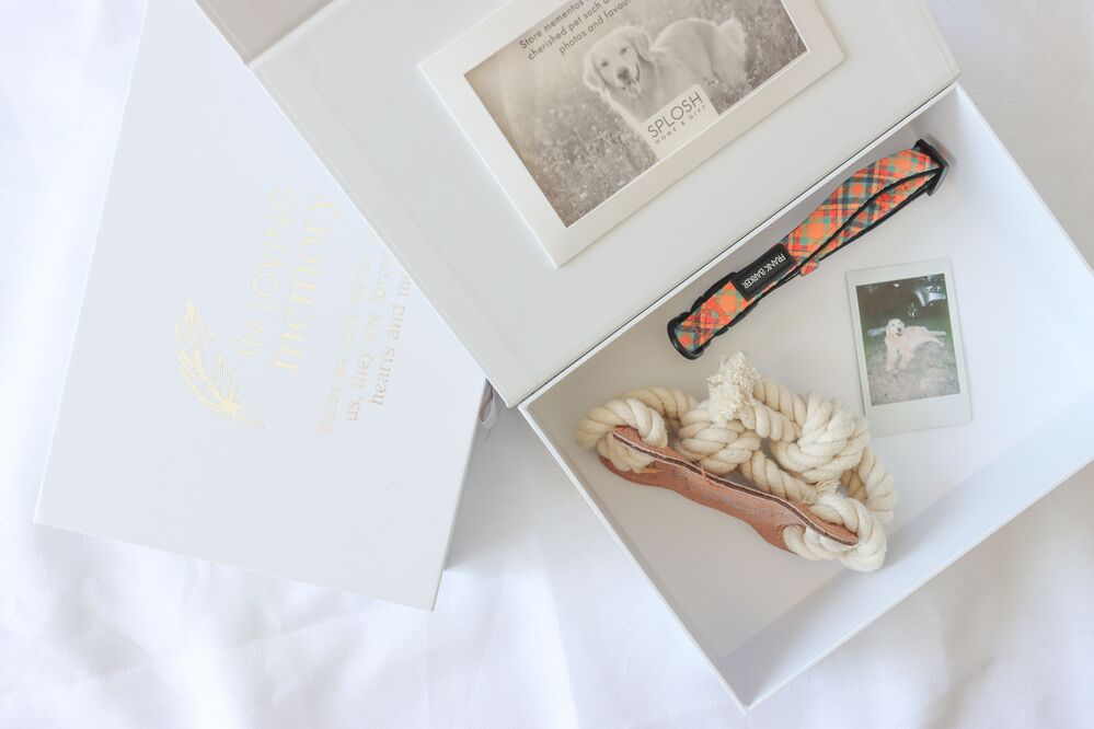 Splosh Sympathy - Pet In Loving Memory Keepsake Box