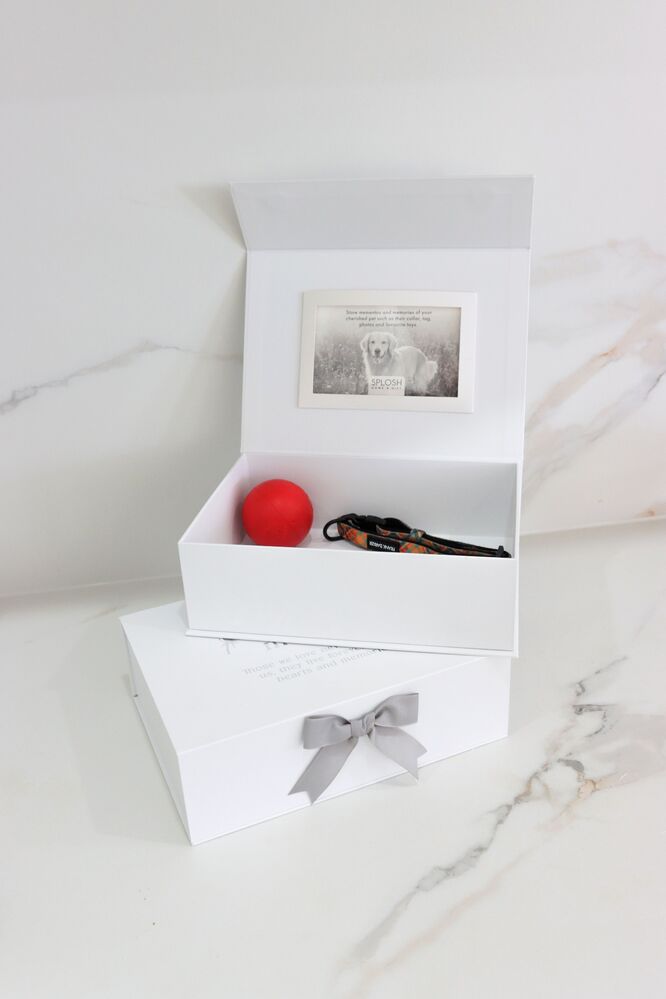 Splosh Sympathy - Pet In Loving Memory Keepsake Box