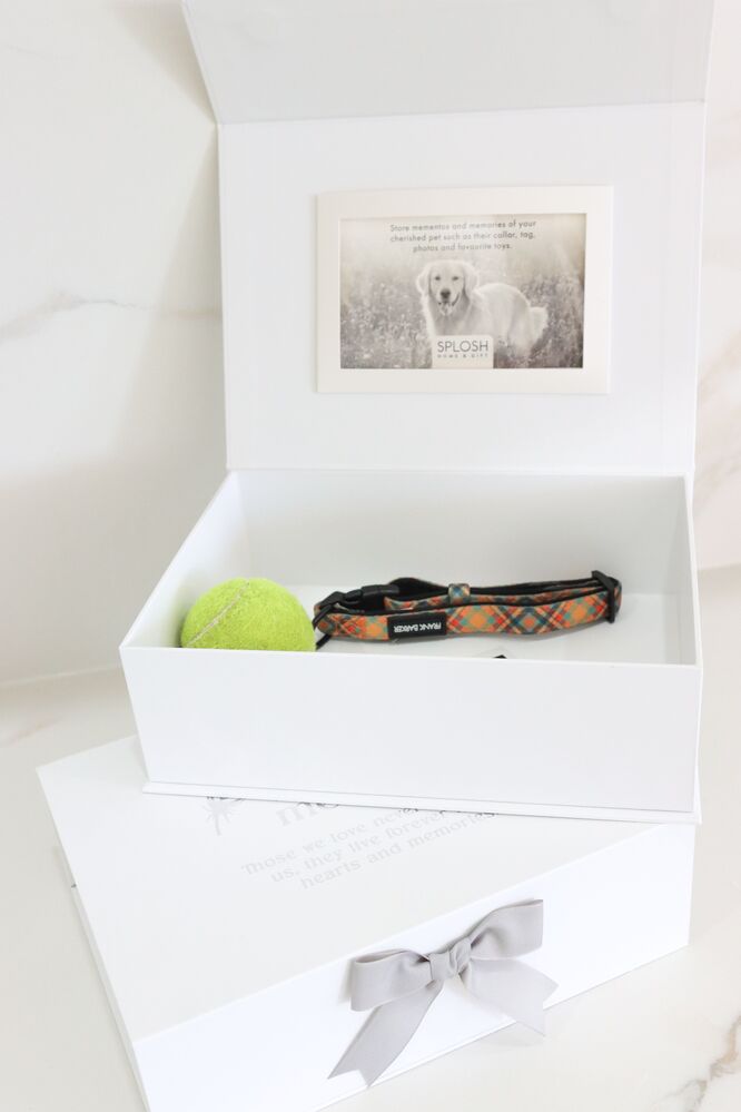 Splosh Sympathy - Pet In Loving Memory Keepsake Box