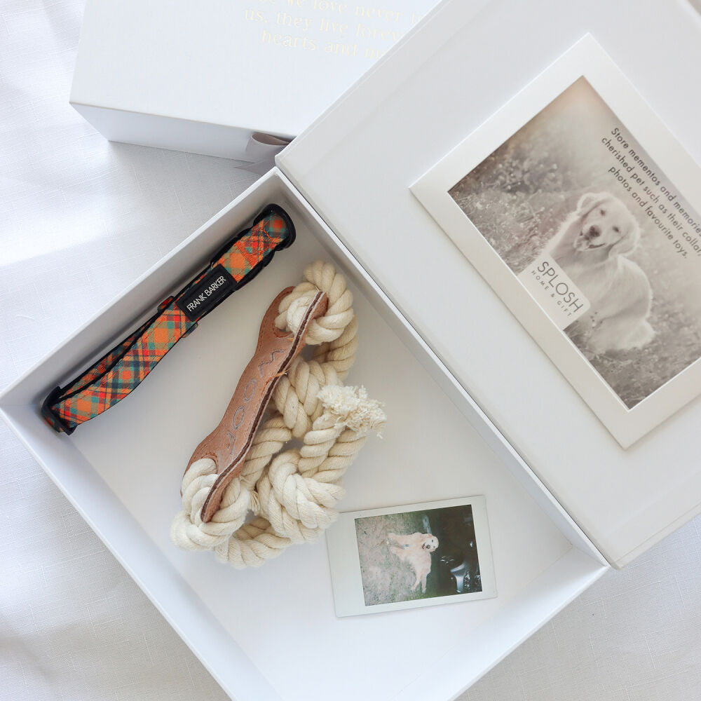 Splosh Sympathy - Pet In Loving Memory Keepsake Box