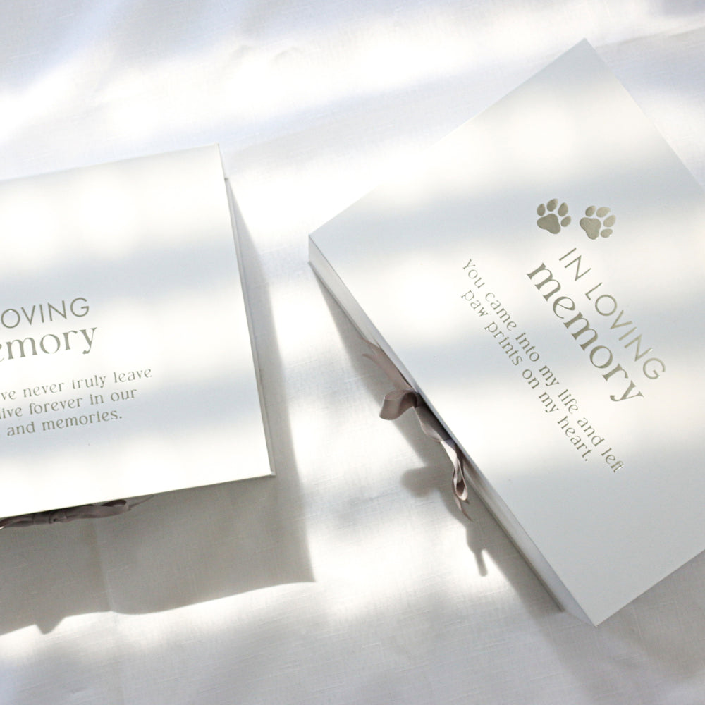 Splosh Sympathy - Pet In Loving Memory Keepsake Box