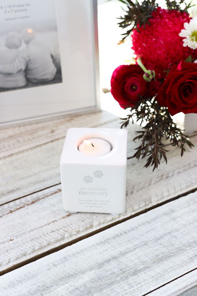 Splosh Sympathy Pet - In Loving Memory Candle Holder