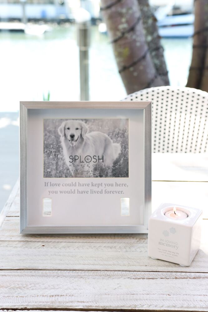 Splosh Sympathy Pet - In Loving Memory Candle Holder