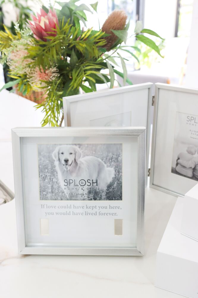 Splosh Sympathy Pet - Memorial Collar Frame