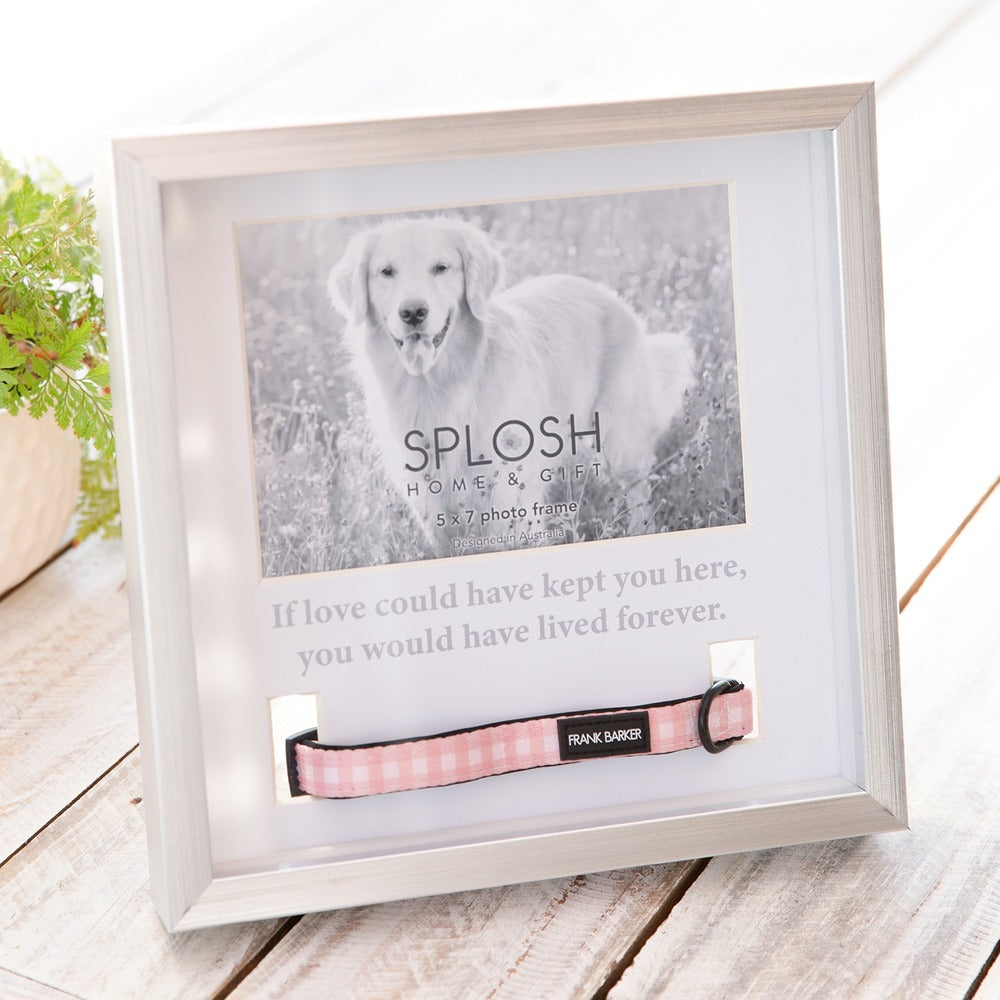 Splosh Sympathy Pet - Memorial Collar Frame