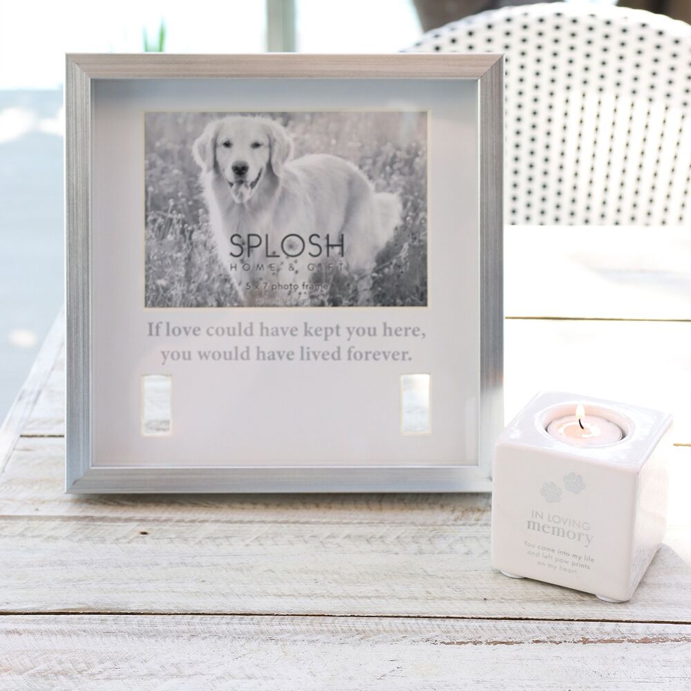 Splosh Sympathy Pet - Memorial Collar Frame
