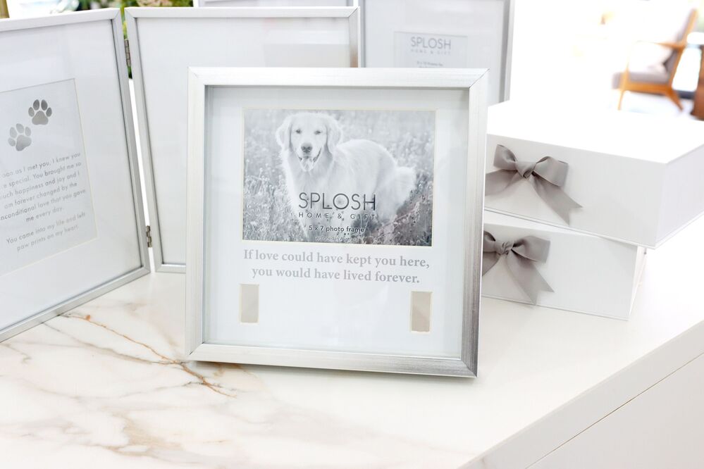 Splosh Sympathy Pet - Memorial Collar Frame