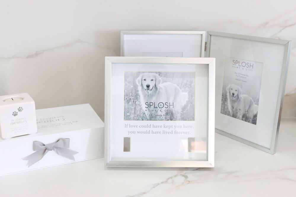 Splosh Sympathy Pet - Memorial Collar Frame