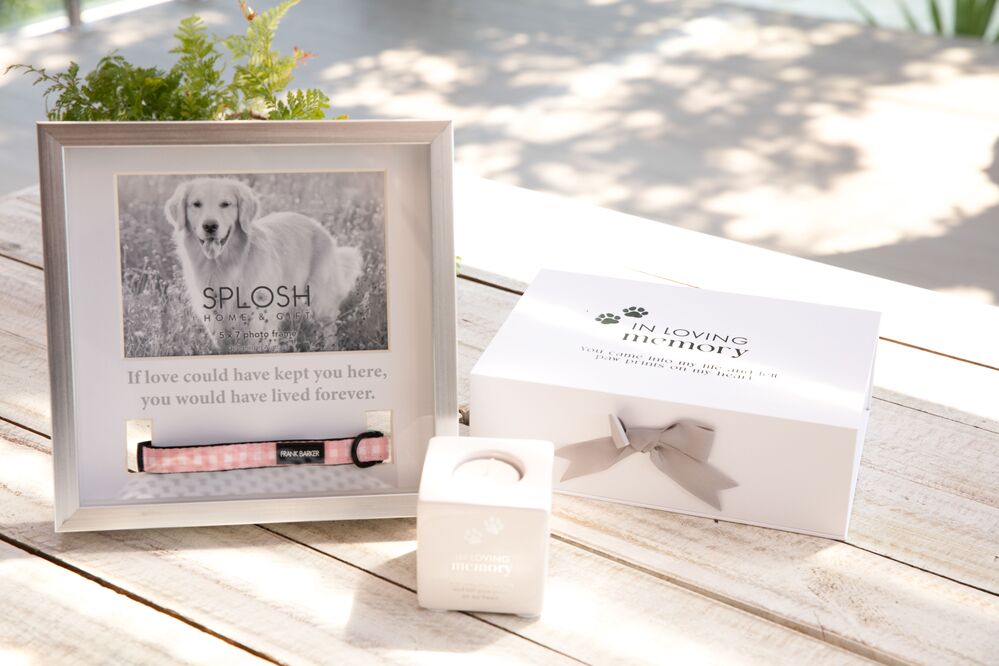 Splosh Sympathy Pet - Memorial Collar Frame