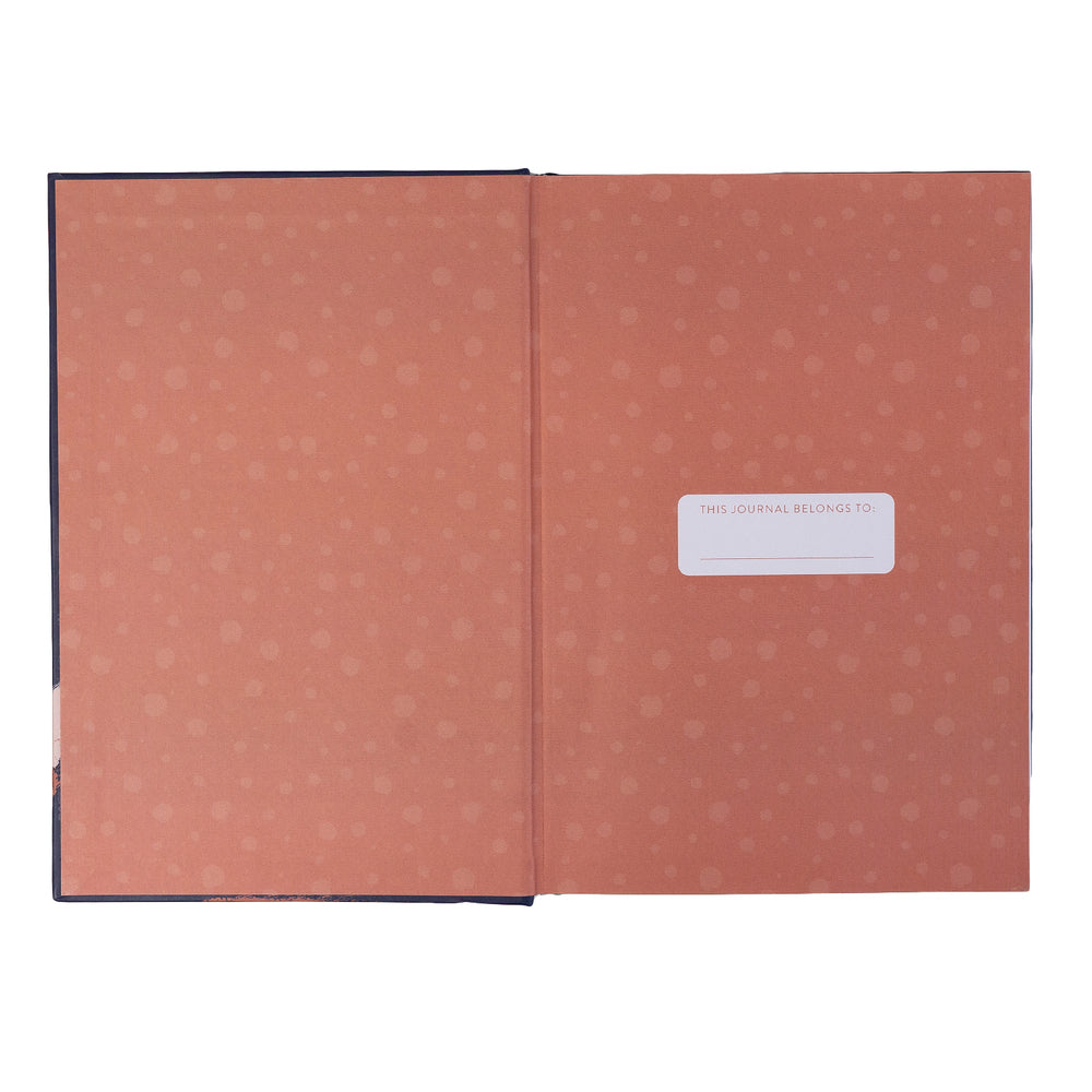 Splosh Teacher Journal - Ninja
