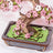 Rolife Wooden Model - DIY 3D Wooden Puzzle Sakura Bonsai