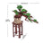 Rolife Wooden Model - DIY 3D Wooden Puzzle Evergreen Pine Bonsai
