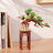 Rolife Wooden Model - DIY 3D Wooden Puzzle Evergreen Pine Bonsai