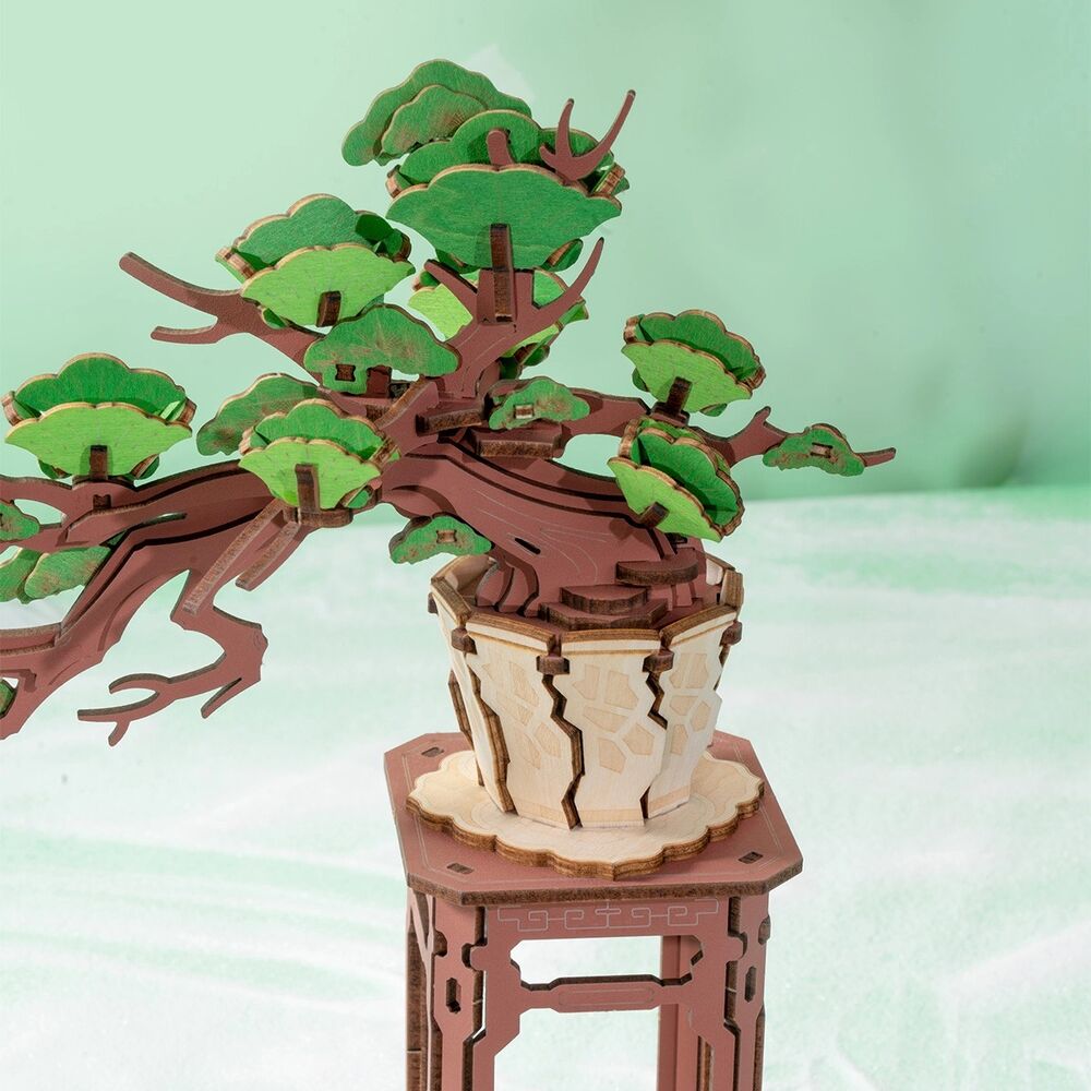 Rolife Wooden Model - DIY 3D Wooden Puzzle Evergreen Pine Bonsai