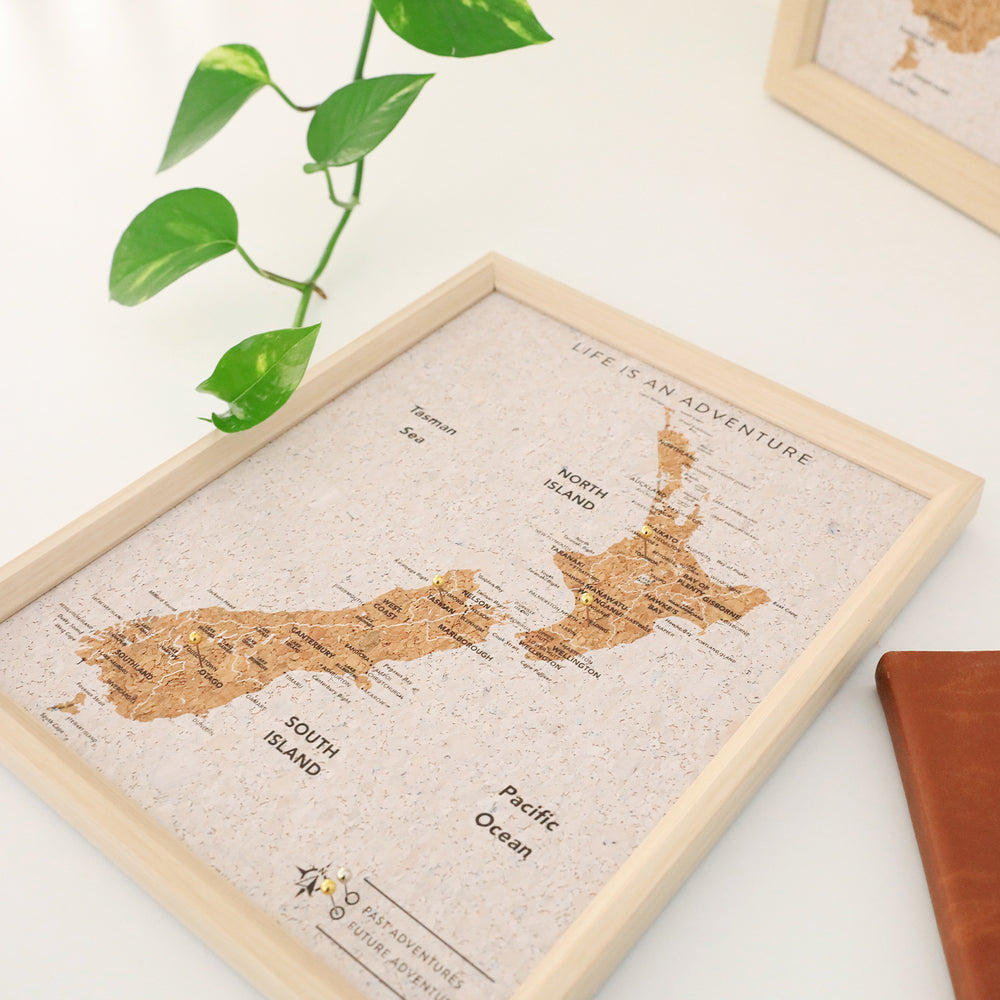 New Zealand Travel Pin Board by Splosh - Small
