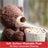 Gund Bears - Fuzzy Chocolate