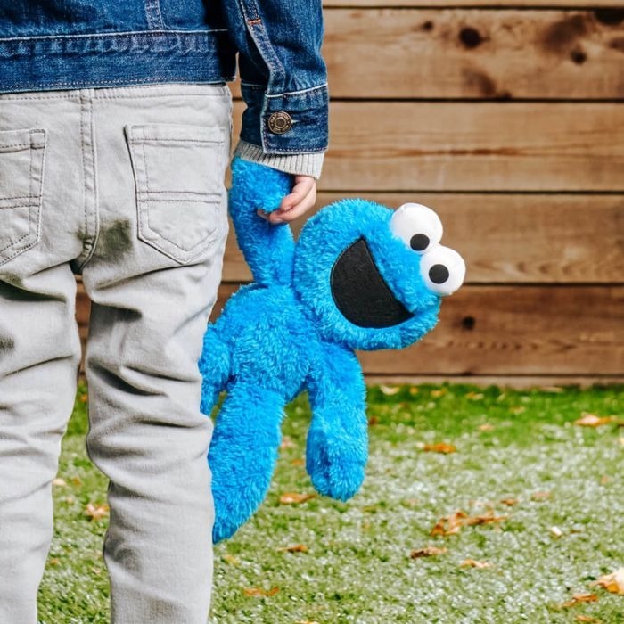 Sesame Street Take Along Buddy - Cookie Monster 26cm