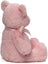 Gund Baby - My First Teddy Pink Large