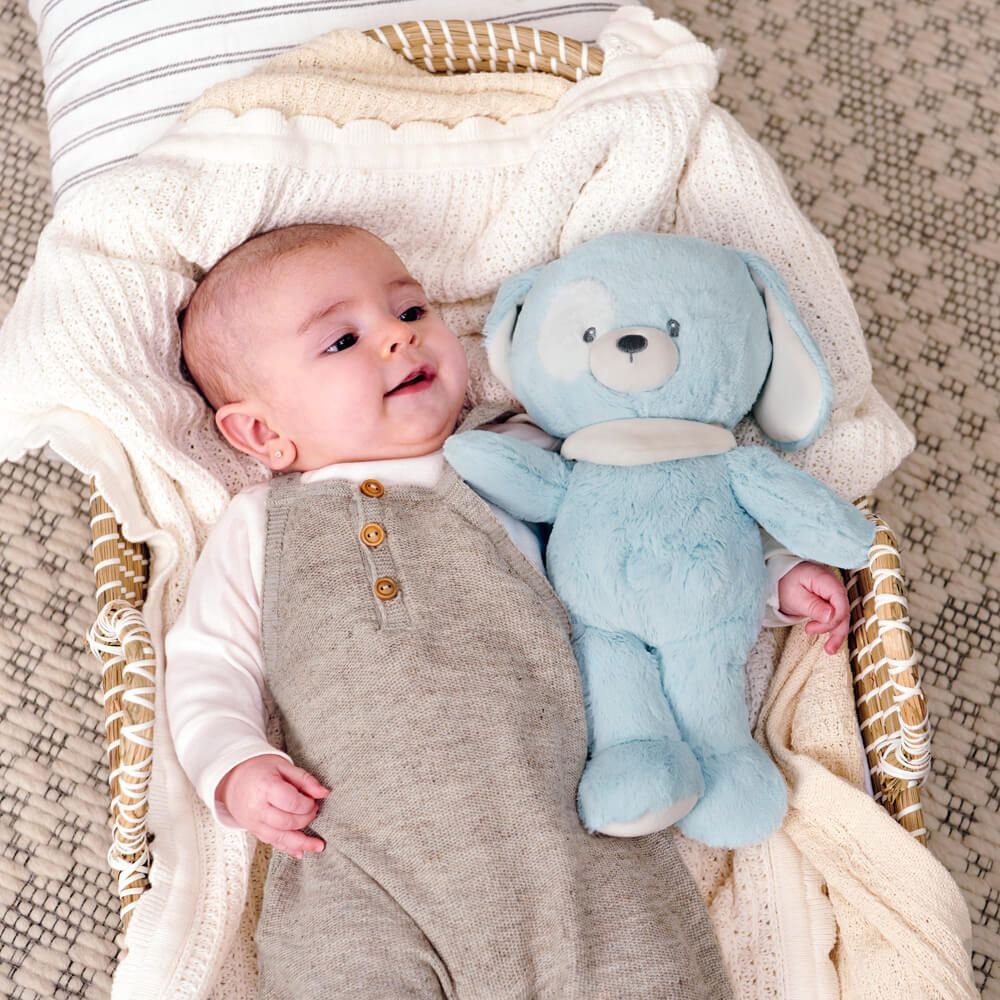 Gund Puppy - Recycled Bay 30cm