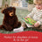Gund Bear - Boe 33cm