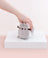 Pusheen Plush 15cm Squisheen Log