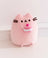 Pusheen Plush 24cm Squisheen Sweets Cherry Macaron