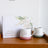 Splosh Wedding & Anniversary - Right Mug Set