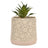 Disney Home By Widdop And Co Mickey - Ceramic Planter